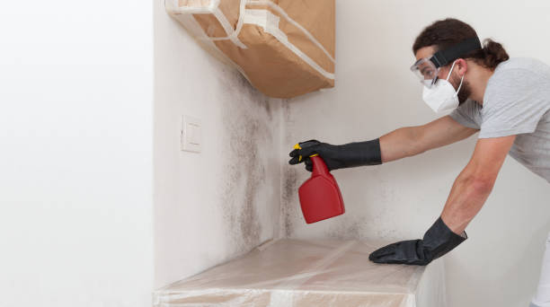 Professional Attic Mold Remediation technician working in Ocean Grove, MA