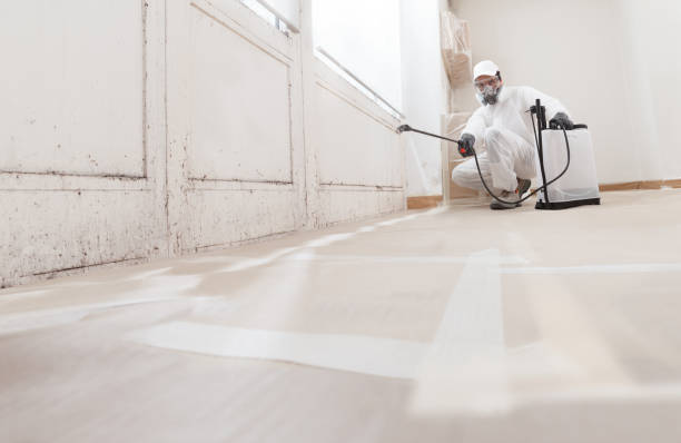 24/7 Emergency Attic Mold Remediation experts in Ocean Grove, MA